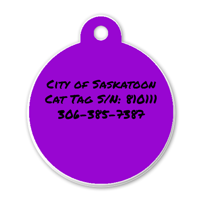 Create Custom tag