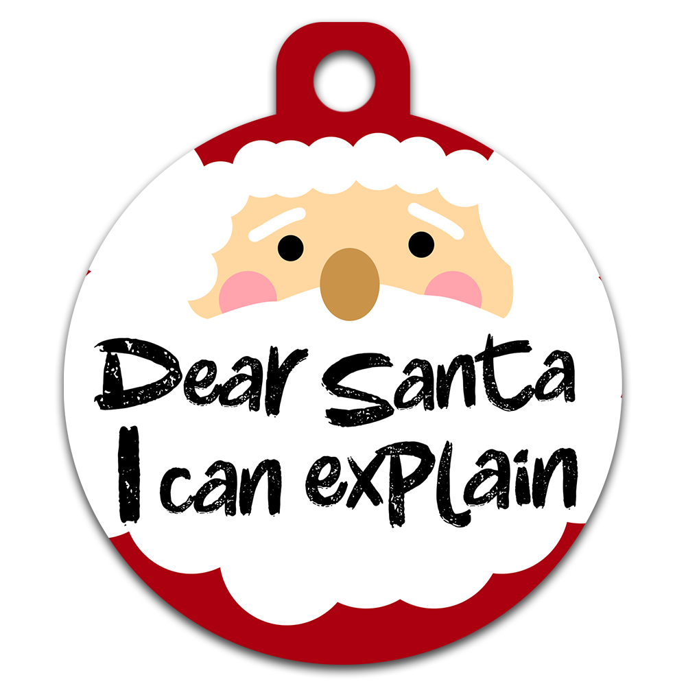 Dear Santa I Can Explain