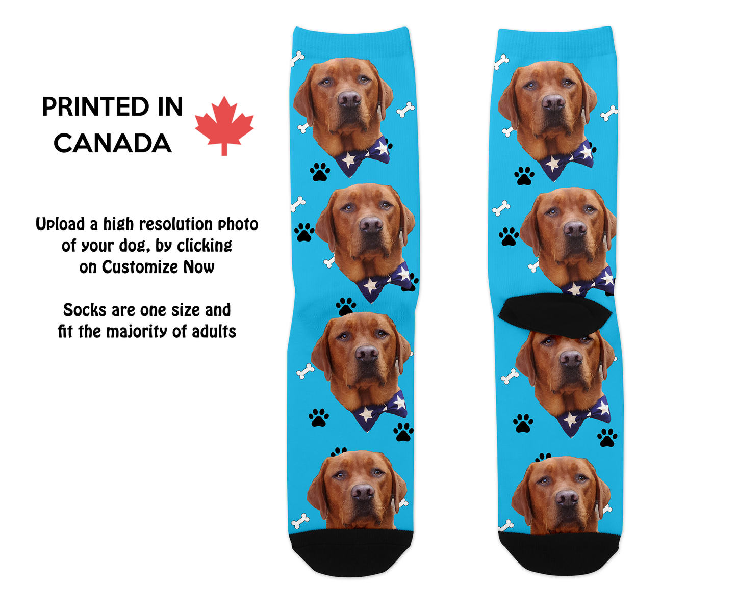 Paw Print Photo Socks
