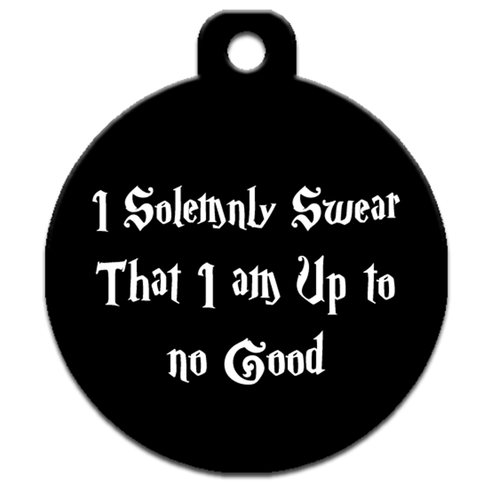 I Solemnly Swear That I Am Up to No Good