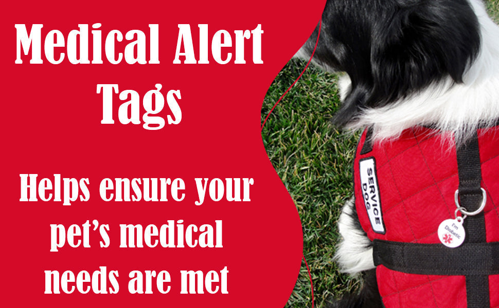 Pancreatitis Do Not Feed