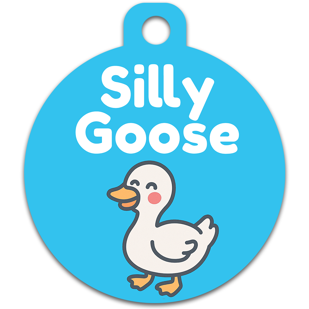 Silly Goose