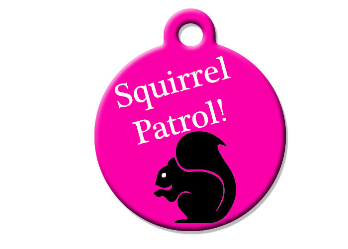 Squirrel Patrol