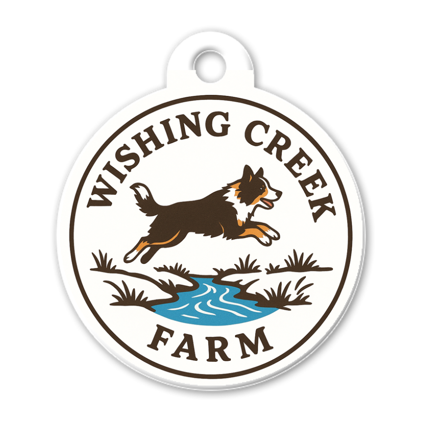 Create Custom tag