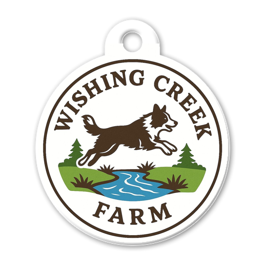 Create Custom tag