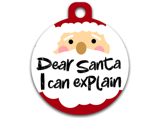 Dear Santa I Can Explain