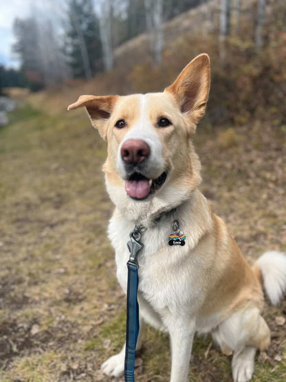 Colourful Mountain Design With Pet's Name On Front