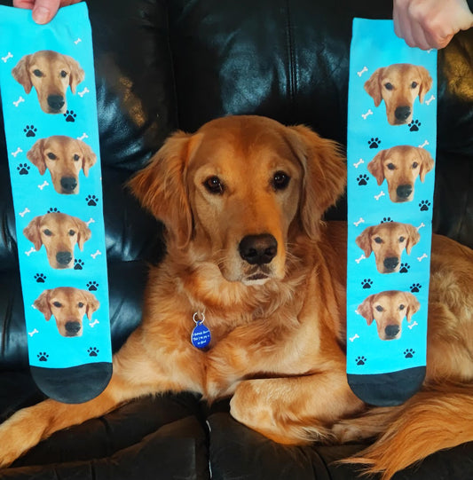 Paw Print Photo Socks