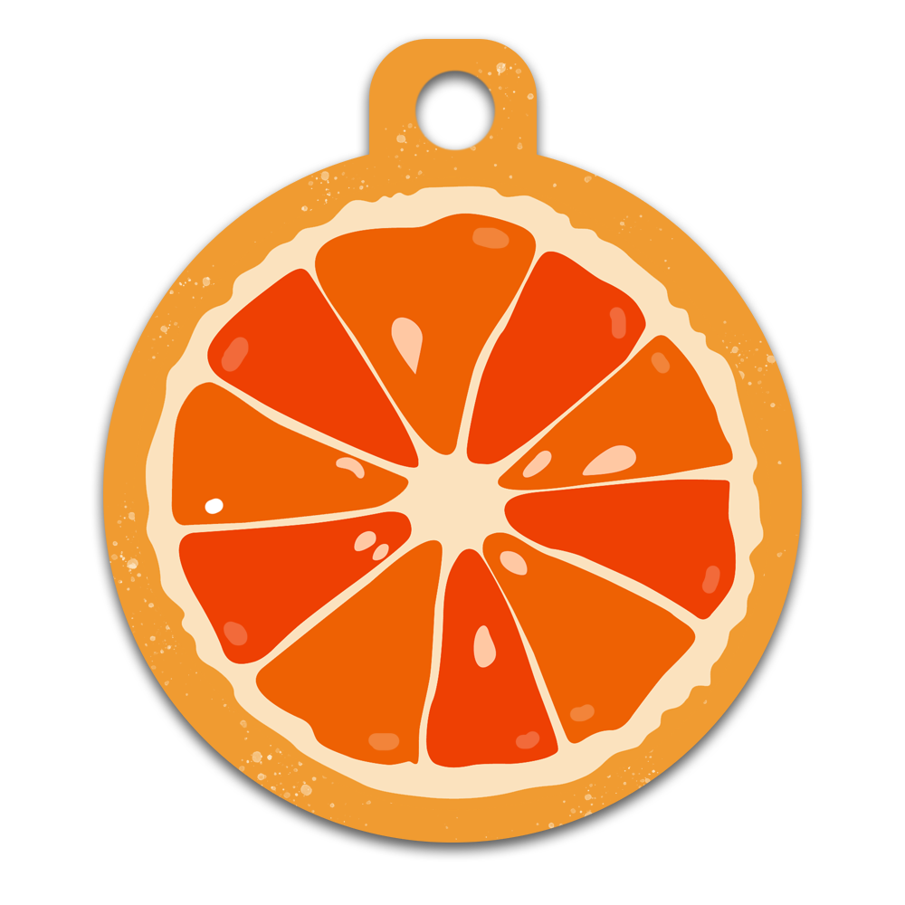 Orange Slice *NEW*