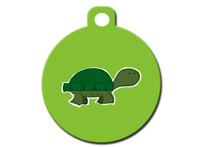 Turtle